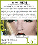 the goco collective - january 2018