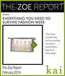 the zoe reportfebruary 2014