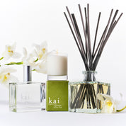spring home bundle