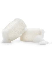 body buffer sponge