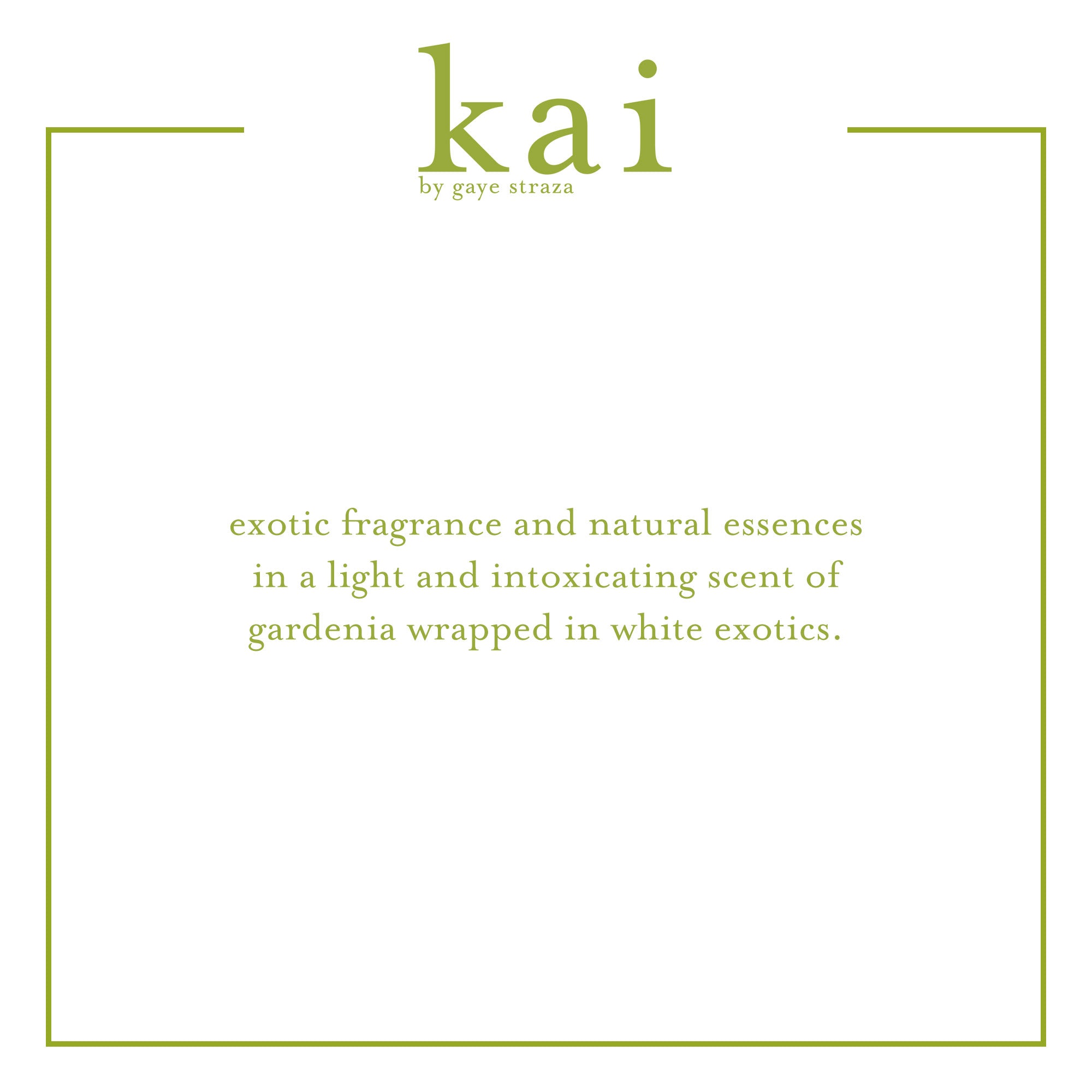 kai_infosignature_about.jpg